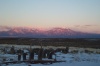 Purple mountains.jpg